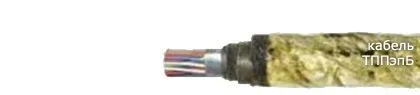 Кабель ТППэпБ 5х2х0,5-200