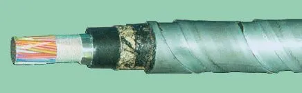 Кабель ТПппПБГ 1200х2х0,4