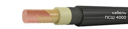 Кабель ПСШ 4000 300
