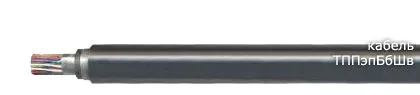 Кабель ТППэпБбШв 10х2х0,4
